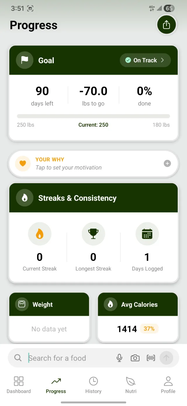 Progress screen — goal, streaks and days logged